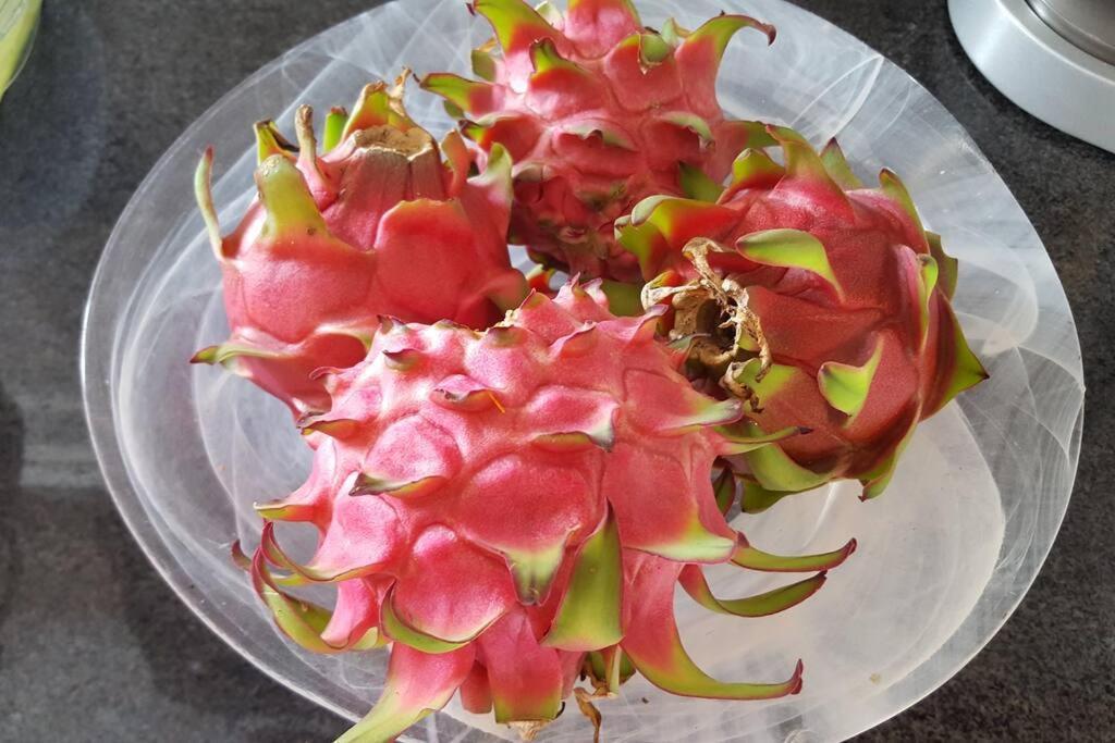Le Pitaya Villa Baillif ภายนอก รูปภาพ